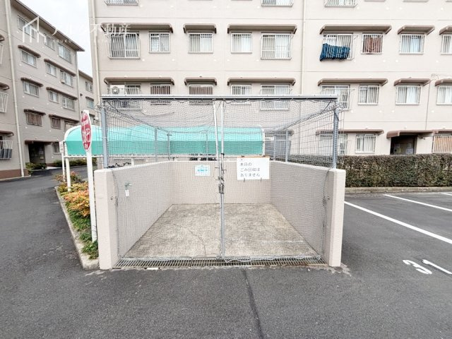 2025年11月撮影