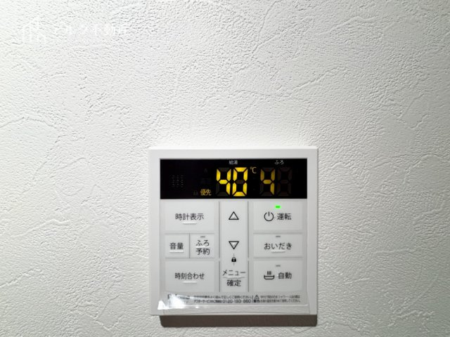 2025年11月撮影