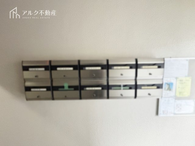 2025年11月撮影