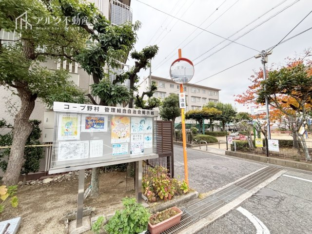 2025年11月撮影