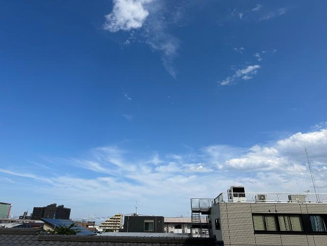 展望