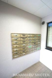 ＊当日ご案内可＊ご希望の物件まとめてご案内！弊社が掲載していない物件でもOK♪お気軽にご相談ください　♪お電話でのお問合わせがスムーズ♪