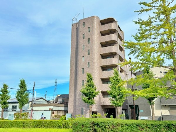 外観：313004475522