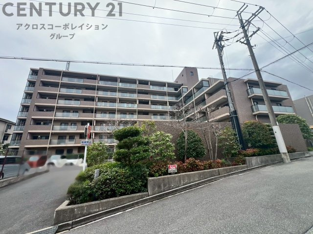 外観：328000651182