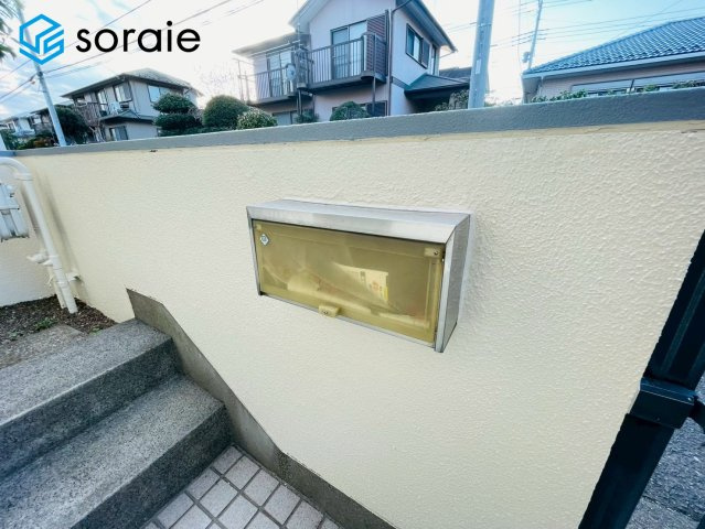 3/16撮影