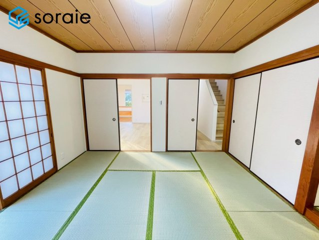 3/16撮影
