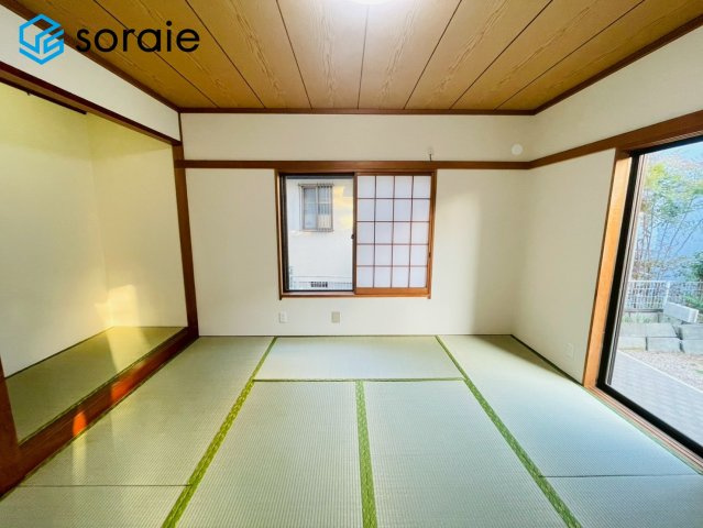3/16撮影