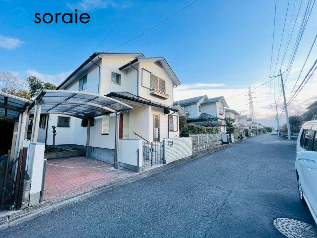 3/16撮影