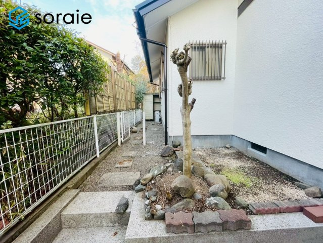 3/16撮影
