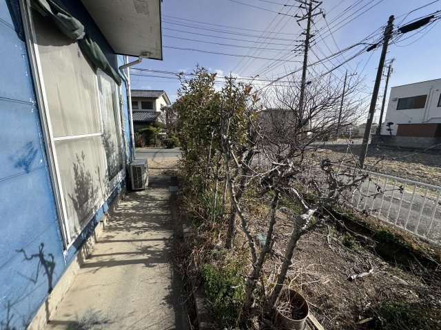 庭