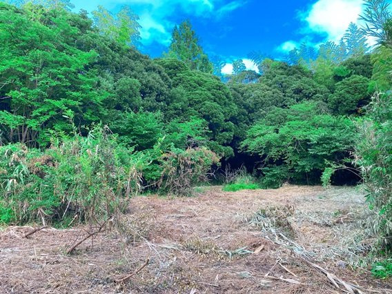 区画図：312001143912