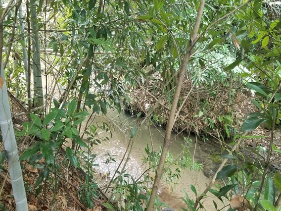 外観：312001143912