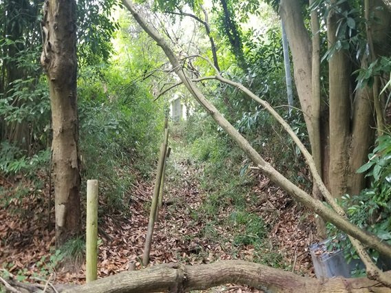 前面道路南東側幅員約0．9ｍ