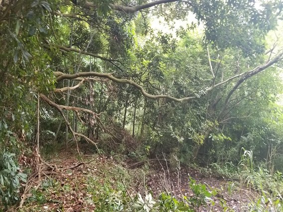館山道「富津中央IC」約1．8ｋｍ車で約4分