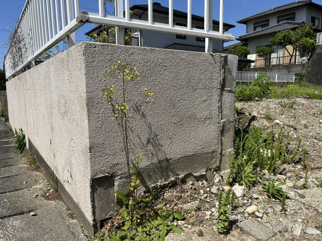 境界ブロックの塗装が剥離気味。新しく建築するお家に合わせて、好みの色に塗り替えが　おすすめです♪