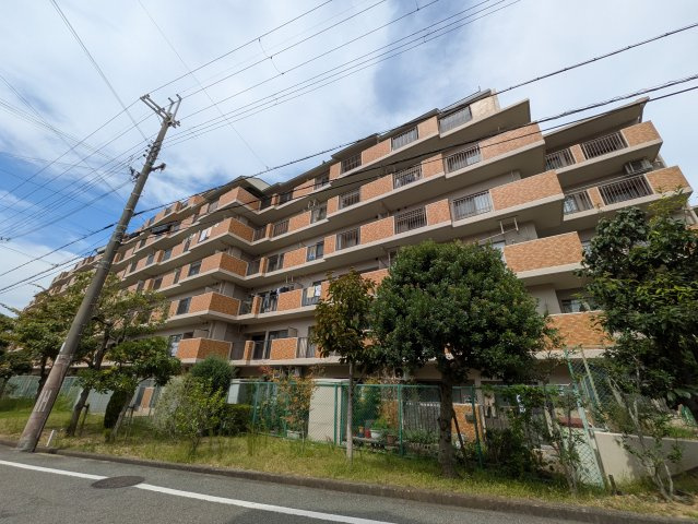 外観：328000530029