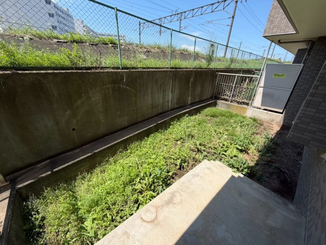庭