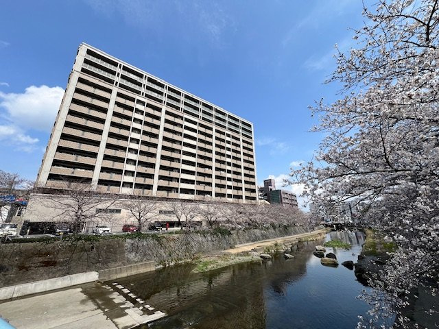 外観：340000303860