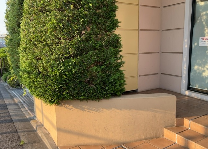 中庭（パティオ）とは、一つの建築物の内部に設けられた、壁などで囲われている庭のことを指します。コの字型、ロの字型が主流ですが、L字型の中庭もあります。最近では、インテリア性の高さからも人気があります。