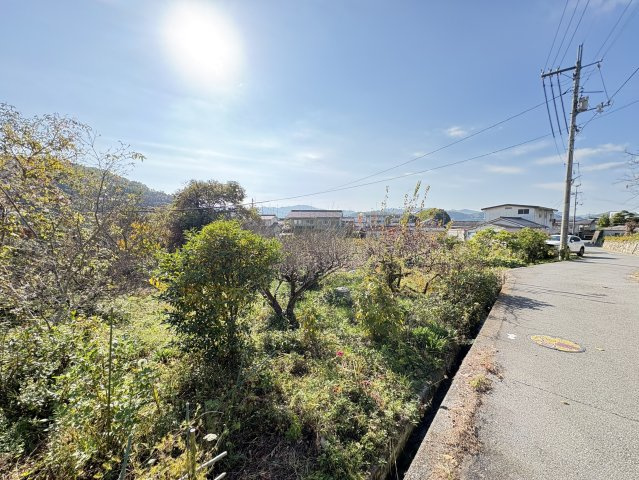 明るい光が届き、敷地全体が柔らかな陽当たりに包まれています。周辺の住宅とも程よい距離で、落ち着いた環境の中で暮らしのイメージが膨らむ立地です。