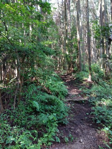 外観：322000556288