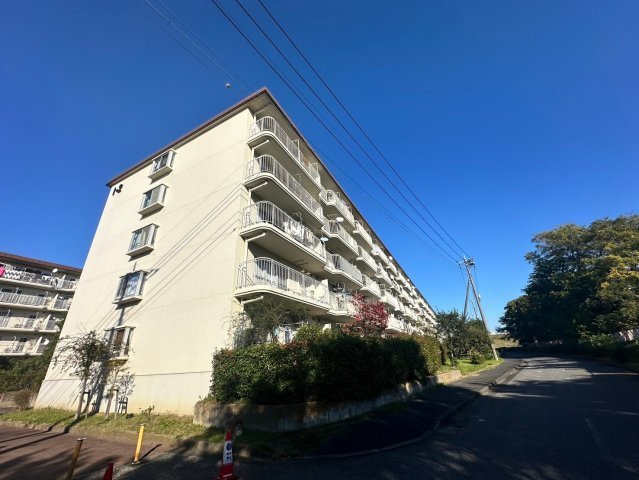 外観：311002343557