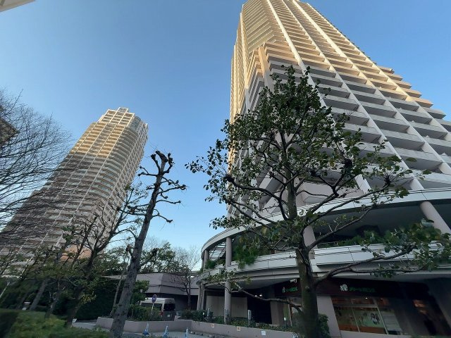 外観：313004917512