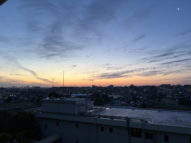 美しい夜明けを見ることができます