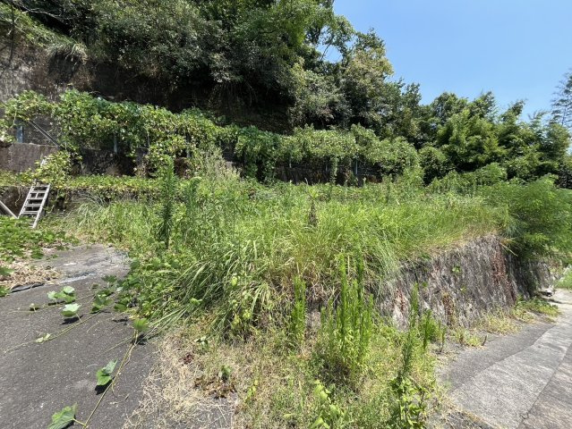 外観：346000042881