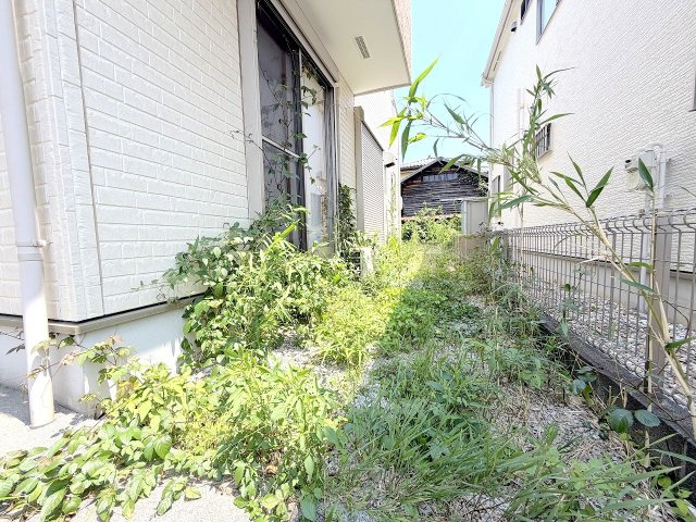 庭
