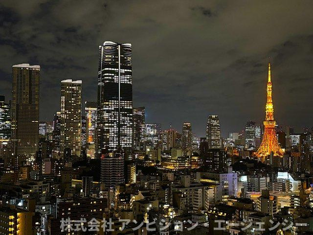 東京タワーや夜景を楽しめる開放的なバルコニー。