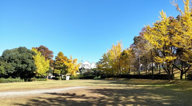 北野台若葉公園　徒歩17分