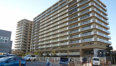 外観：313004206781