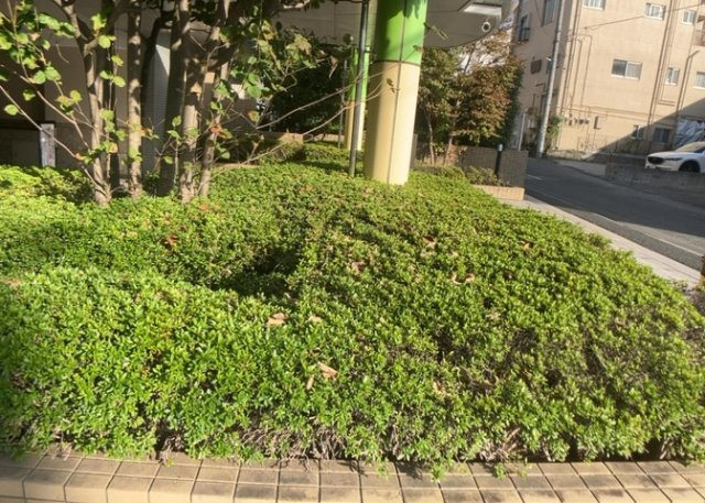 物件によっては、入居者が個人的に使用できる専用庭がついているものもあります。また、住宅の中にある土間の部分を庭と呼ぶこともあります。庭の用途は住む人によって変わり、それによってデザインもさまざまです。