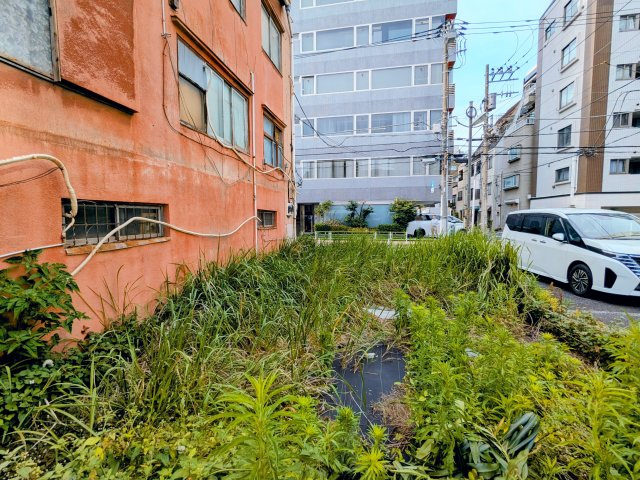 ～現地土地写真～