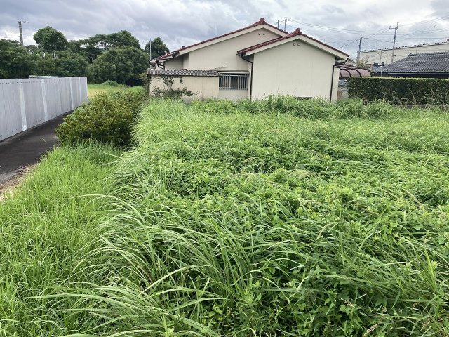 外観：346000039940