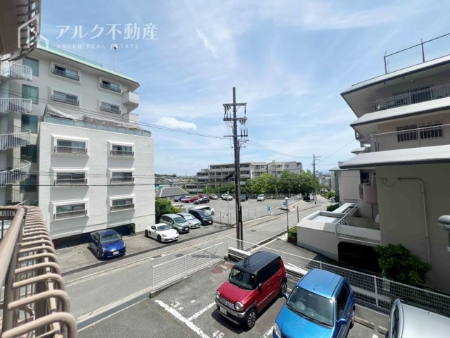 2026年5月撮影