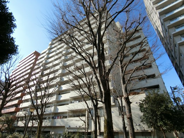 外観：313004663727