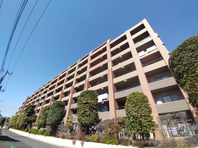 外観：311002397341