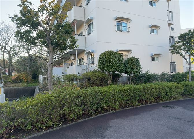 外観：313003633815