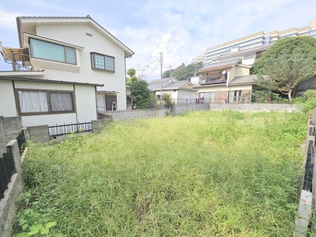 外観：313004598828