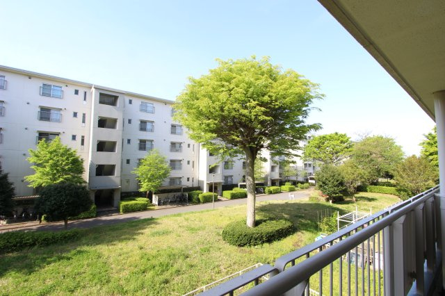 前面棟と距離があり開放感があります！緑豊かな住環境！