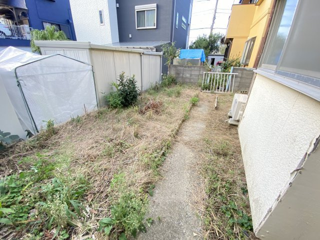庭