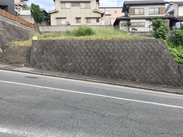 外観：334000231555