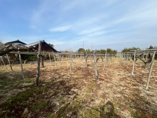 外観：323000469019