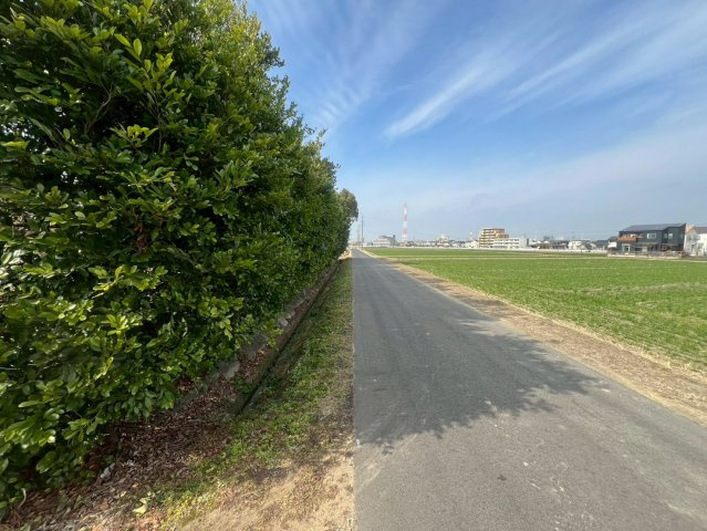 北側道路と対象地（西向きに撮影）