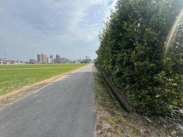 北側道路と対象地（東向きに撮影）