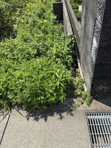 敷地と道路の境界付近