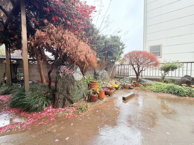 庭