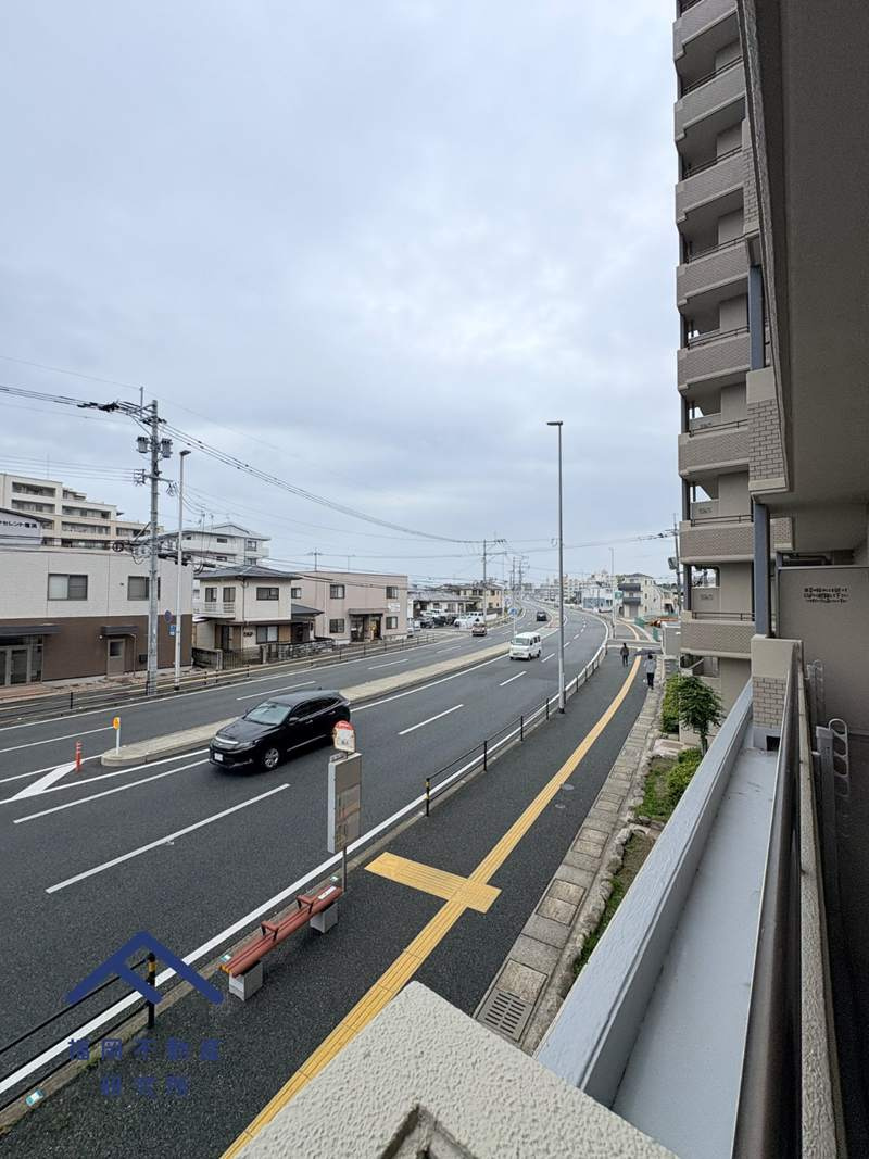 展望